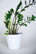 Load image into Gallery viewer, Concrete pot Trapezium Large