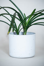 Load image into Gallery viewer, Concrete pot Cylinder large