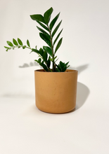 Load image into Gallery viewer, Concrete pot Terracotta Cylinder large