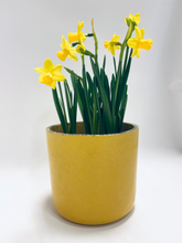 Load image into Gallery viewer, Concrete pot Cylinder small