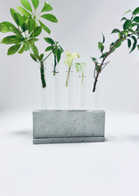 Load image into Gallery viewer, Plant propagation station