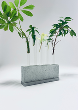 Load image into Gallery viewer, Plant propagation station