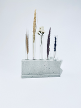 Load image into Gallery viewer, Plant propagation station