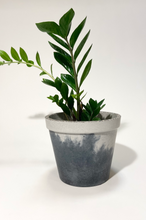 Load image into Gallery viewer, Yin&Yang Concrete pot Trapezium Large