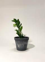 Load image into Gallery viewer, Yin&Yang Concrete pot Trapezium Large