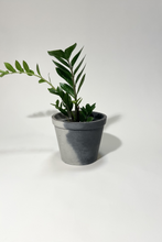 Load image into Gallery viewer, Yin&Yang Concrete pot Trapezium Large