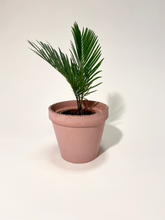 Load image into Gallery viewer, Concrete pot Pink Trapezium Small
