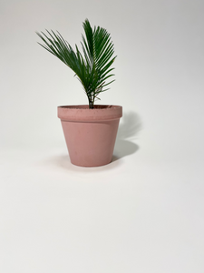 Concrete pot Pink Trapezium Small