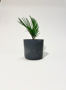 https://legitamaterials.com/cdn/shop/products/Concretepotdarkgrey_300x300.png?v=1616421310