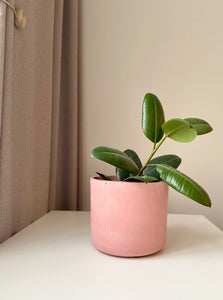 Pink concrete flower pot