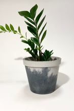 Load image into Gallery viewer, Yin&amp;Yang Concrete pot Trapezium Large
